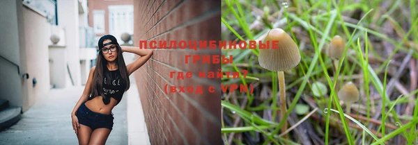 метадон Алексин