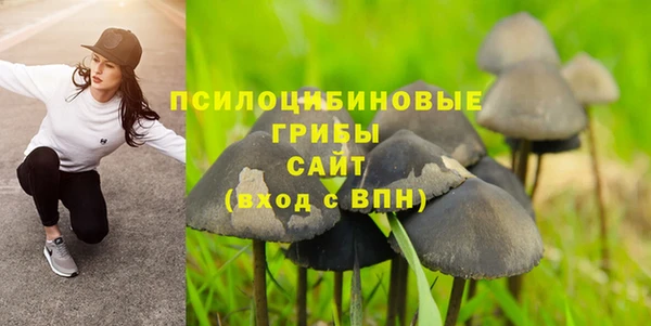 метадон Алексин